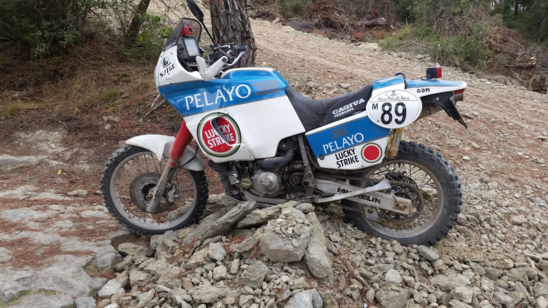 Illustration for article titled Dakar Race Bike Survivor
